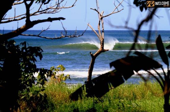 Langosta - Casey Rossi